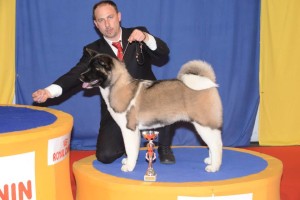 Alaska Podio Best in Show Puppy