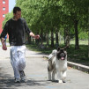 Full frontale che corre con luca